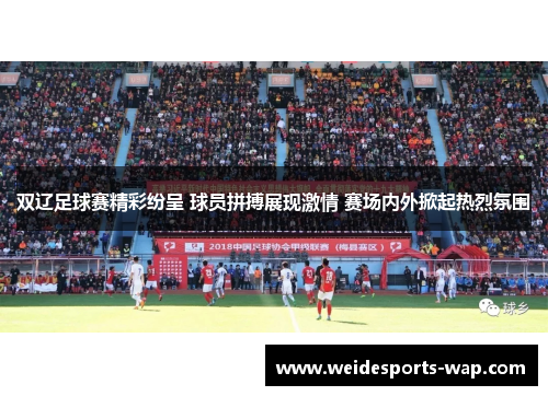 双辽足球赛精彩纷呈 球员拼搏展现激情 赛场内外掀起热烈氛围