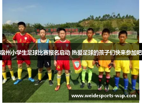 宿州小学生足球比赛报名启动 热爱足球的孩子们快来参加吧