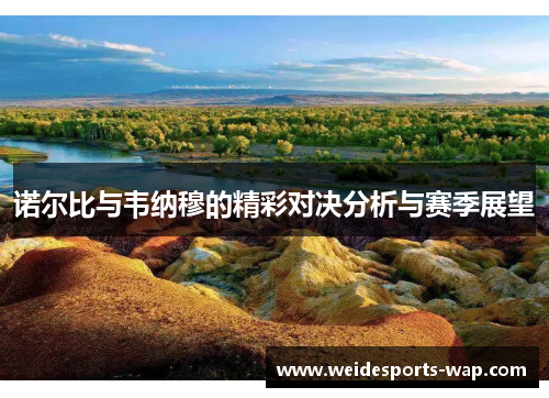 诺尔比与韦纳穆的精彩对决分析与赛季展望
