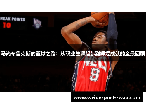马尚布鲁克斯的篮球之路：从职业生涯起步到辉煌成就的全景回顾